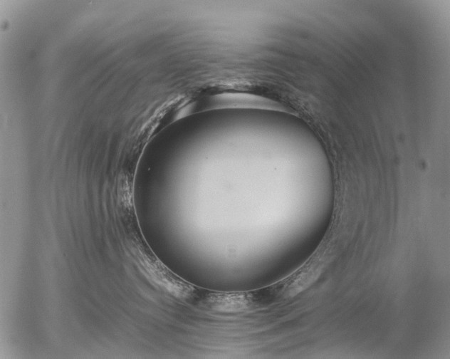 X0000057100384200509161701