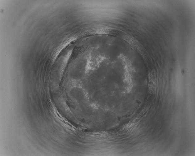 X0000057100386200509161700