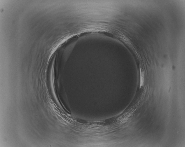 X0000057100387200509161700