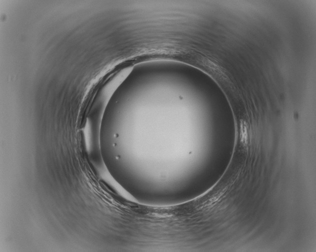 X0000057100388200509161700