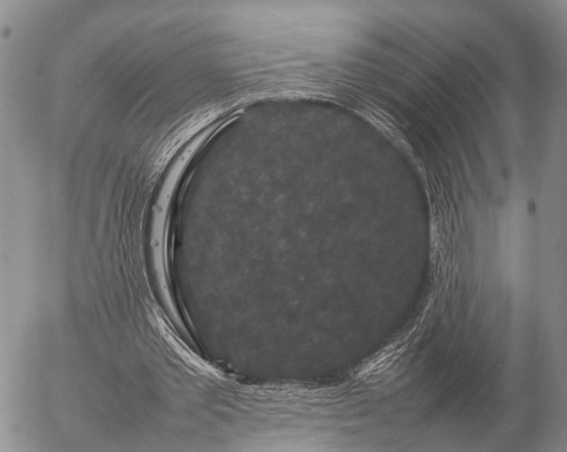 X0000057100389200509161700