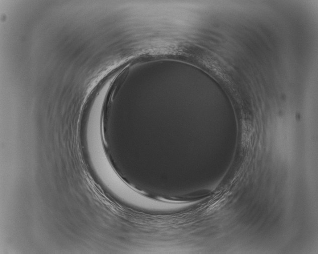 X0000057100391200509161700