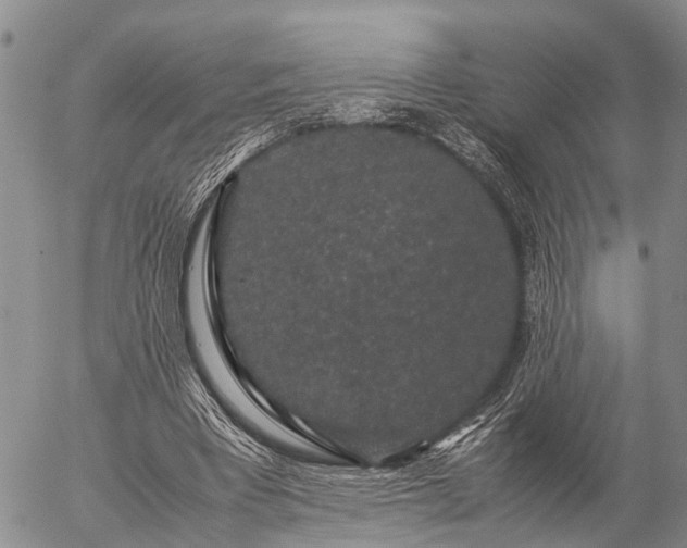 X0000057100393200509161700