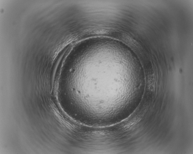 X0000057100394200509161700