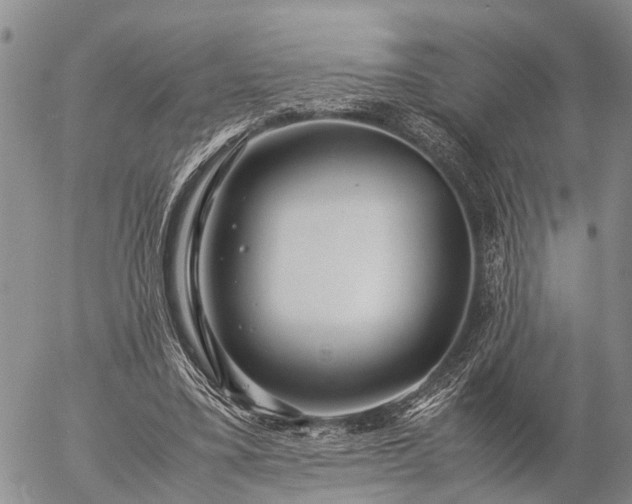 X0000057100395200509161700