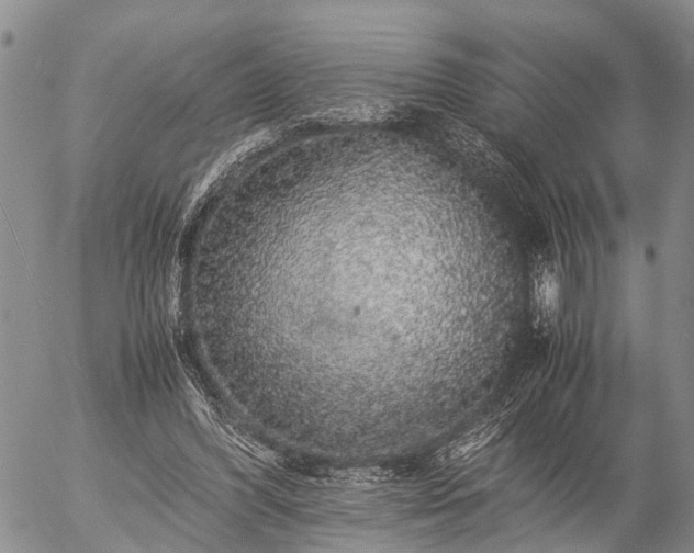 X0000057100396200509161700