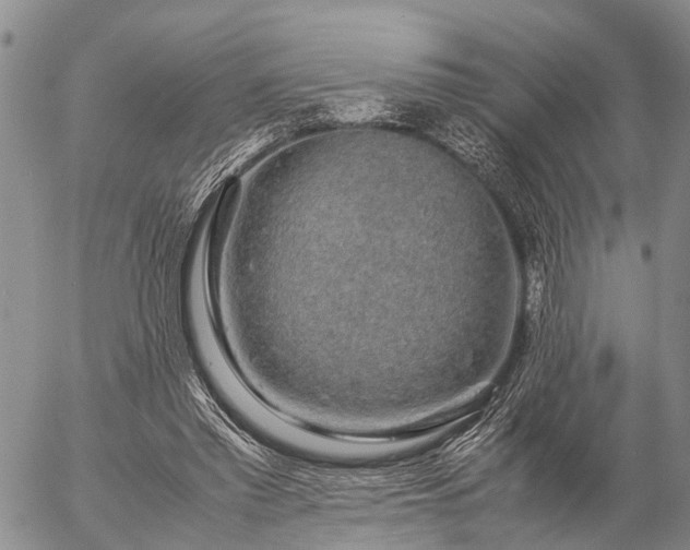 X0000057100397200509161700