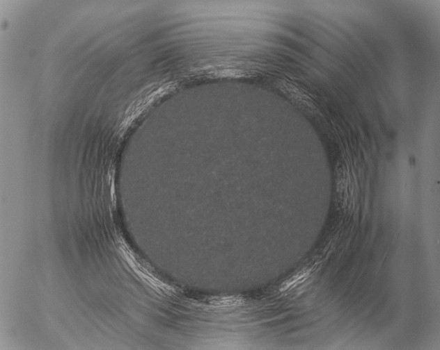 X0000057100398200509161700