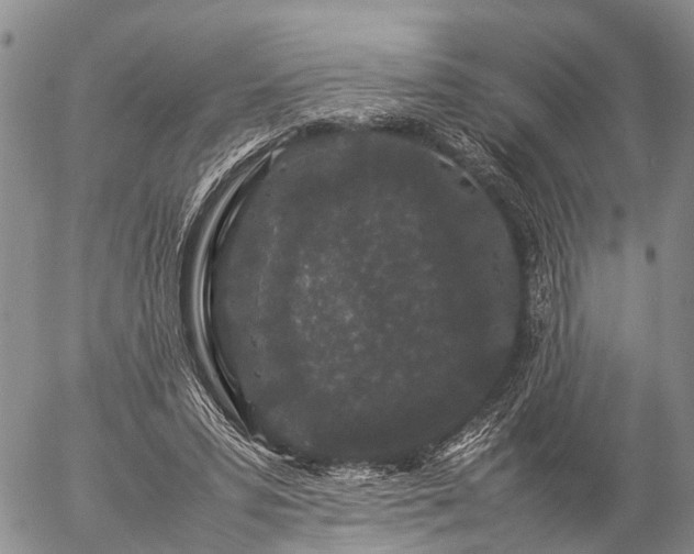 X0000057100399200509161700