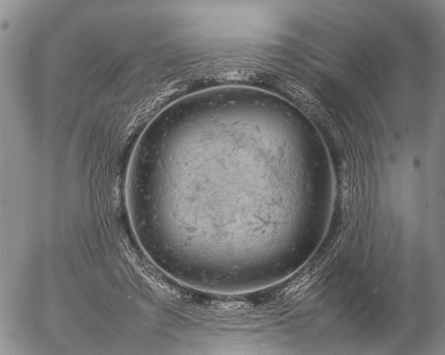 X0000057100401200509161700