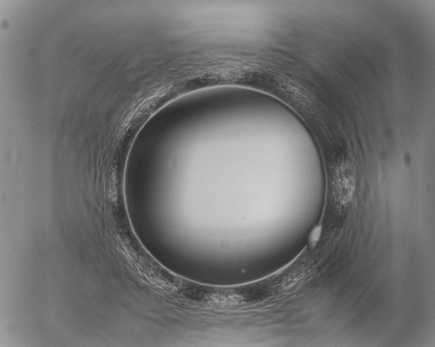 X0000057100403200509161700