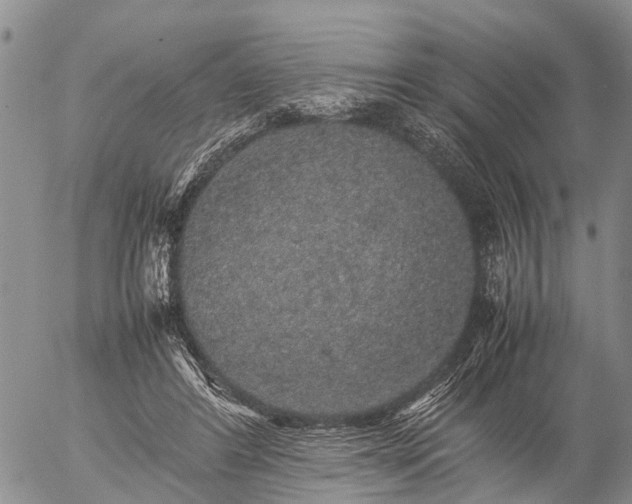 X0000057100404200509161700