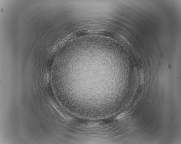 X0000057100405200509161700