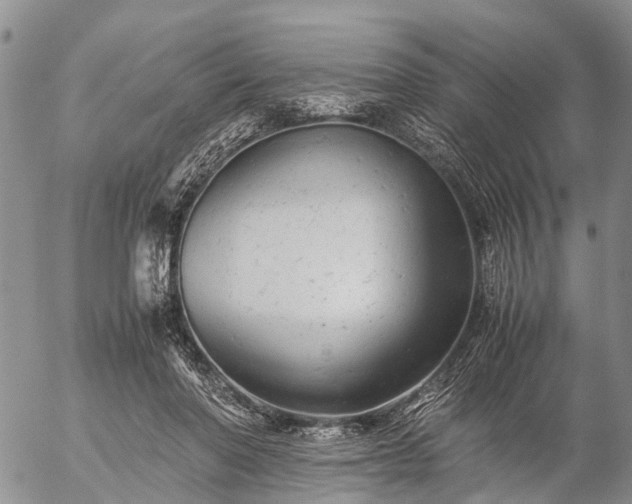 X0000057100406200509161700