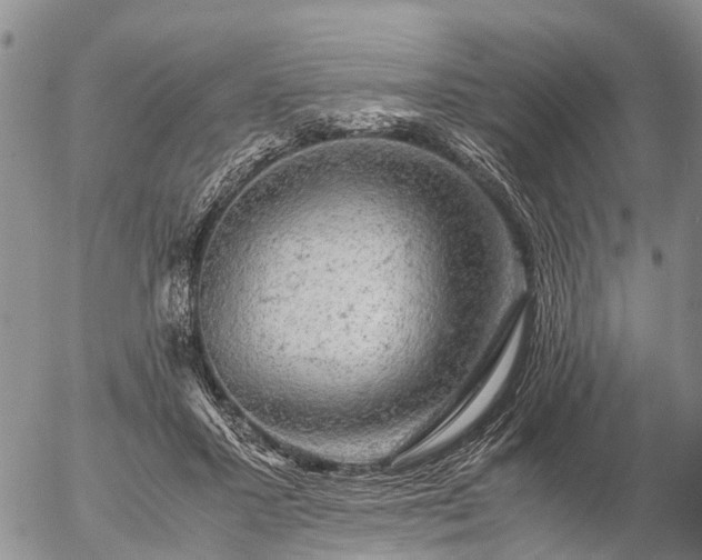 X0000057100407200509161700