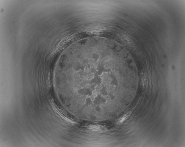 X0000057100408200509161700