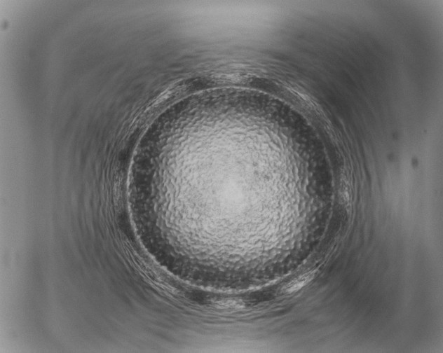 X0000057100409200509161700