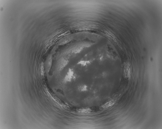 X0000057100410200509161700