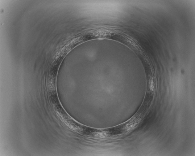 X0000057100411200509161700