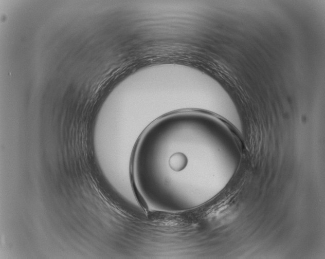 X0000057100412200509161700