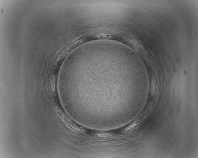 X0000057100413200509161659