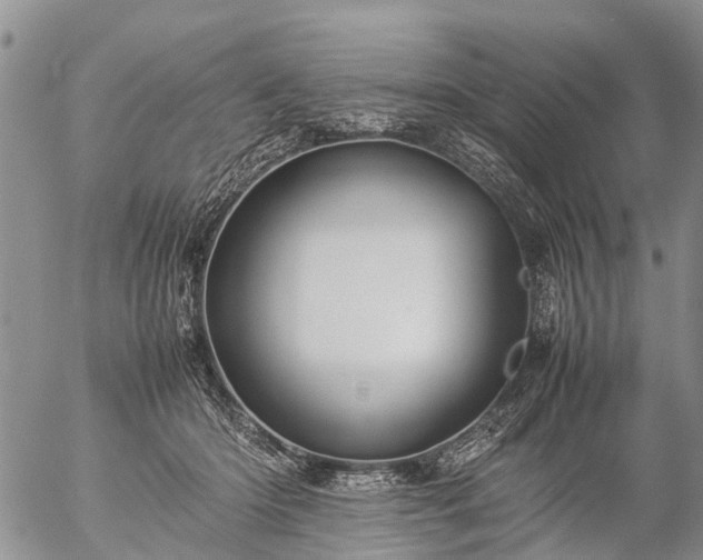 X0000057100414200509161659