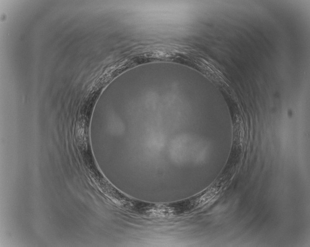 X0000057100415200509161659