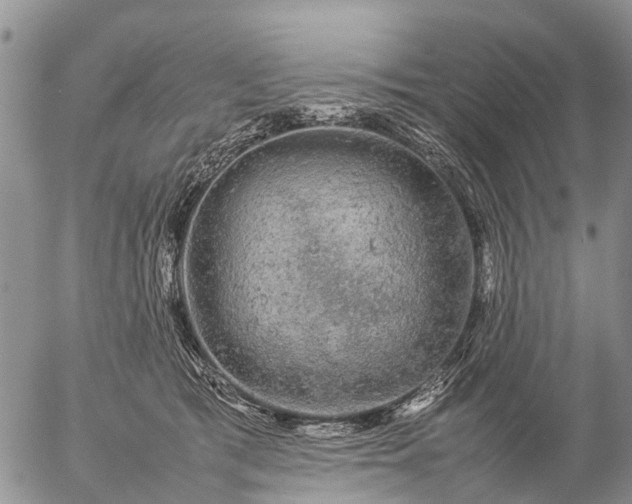 X0000057100417200509161659