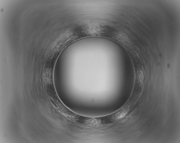 X0000057100421200509161659