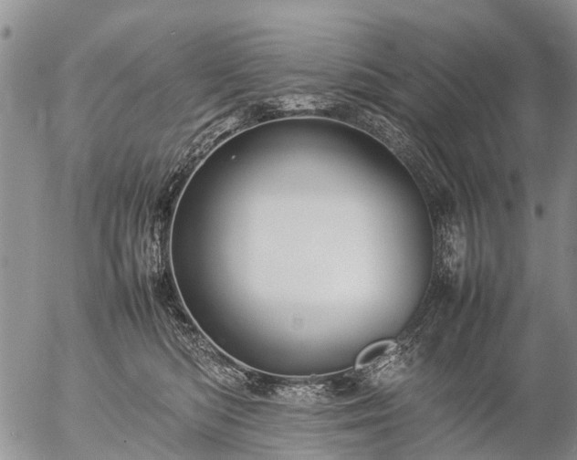 X0000057100422200509161659