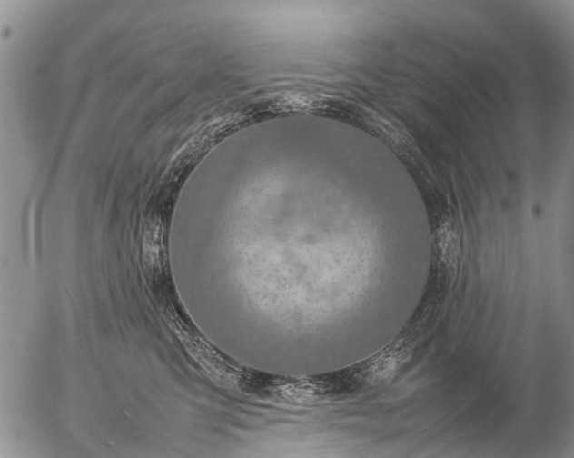 X0000057100423200509161659