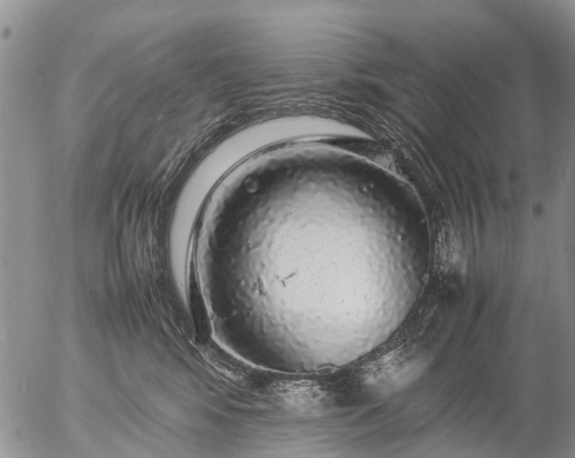 X0000057100424200509161659