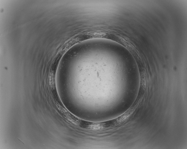 X0000057100425200509161659