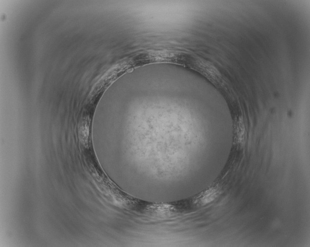 X0000057100427200509161659