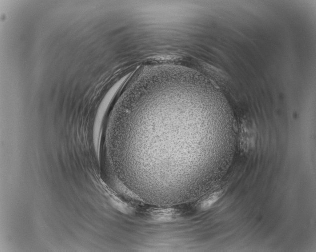 X0000057100428200509161659