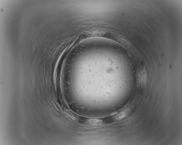 X0000057100429200509161659