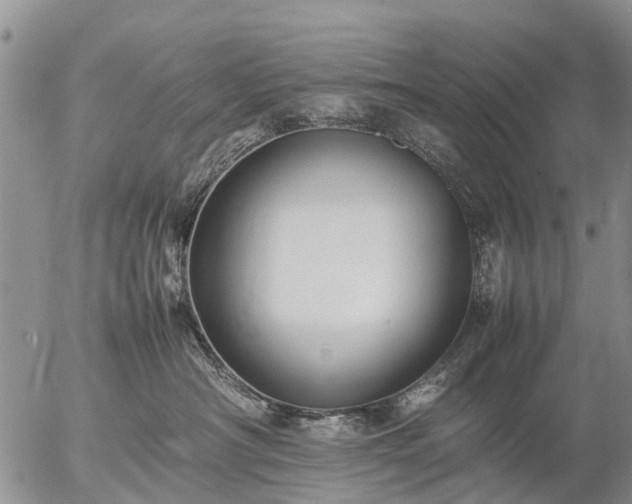 X0000057100430200509161659