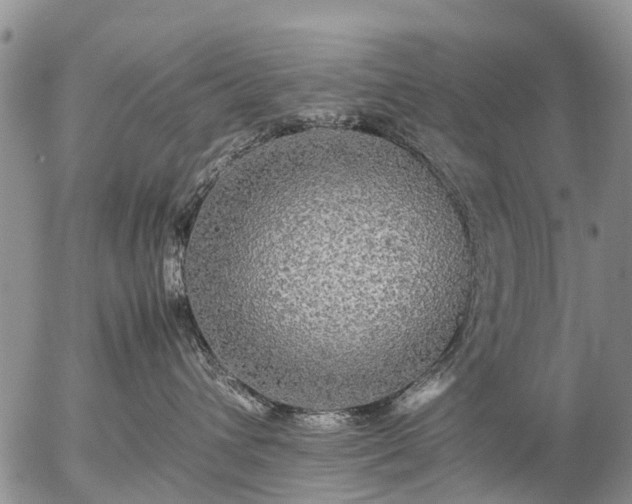 X0000057100432200509161659