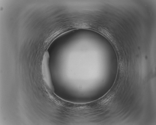 X0000057100433200509161658