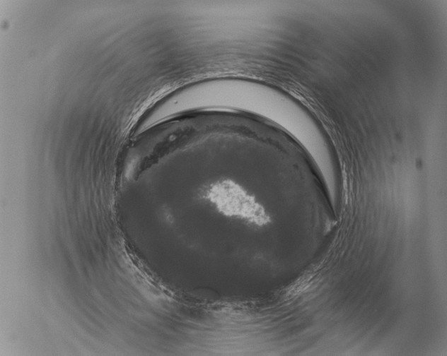 X0000057100434200509161658