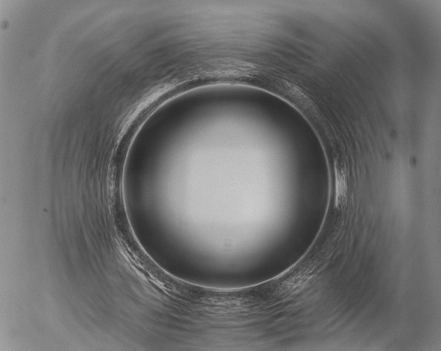 X0000057100435200509161658