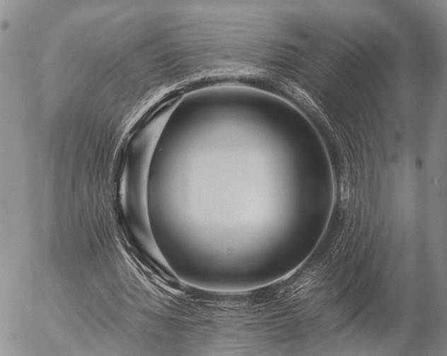 X0000057100436200509161658