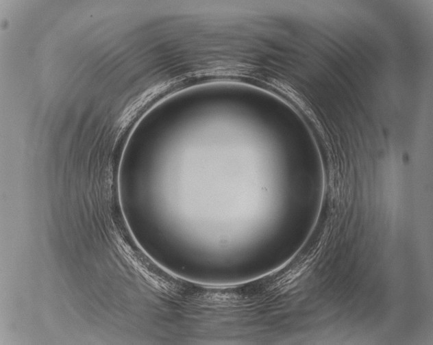 X0000057100437200509161658