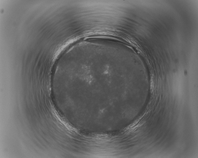 X0000057100438200509161658