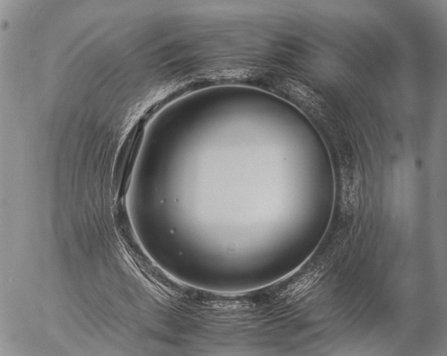 X0000057100439200509161658