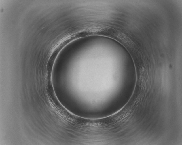 X0000057100440200509161659