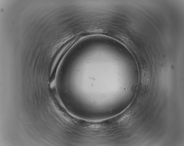 X0000057100441200509161659