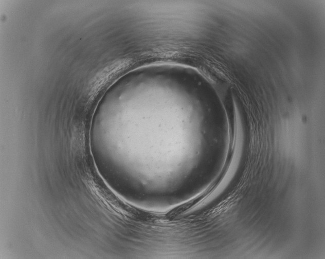 X0000057100442200509161659