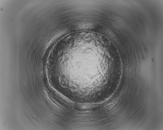 X0000057100443200509161659