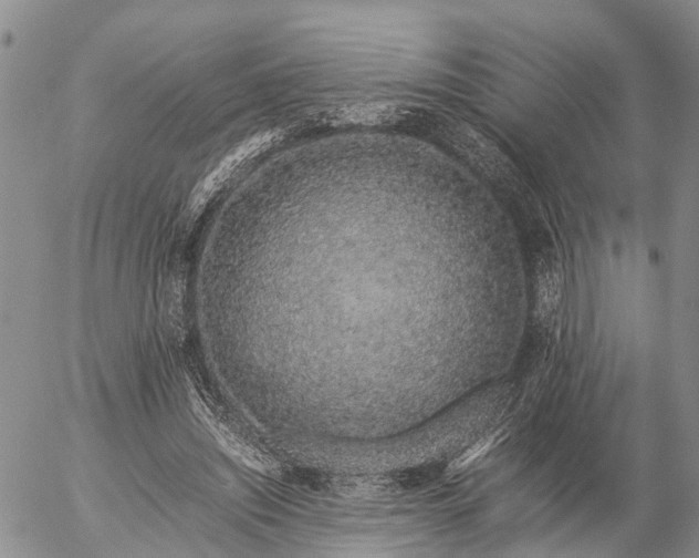 X0000057100444200509161659